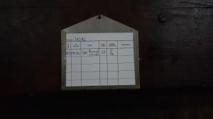 20261024_093409